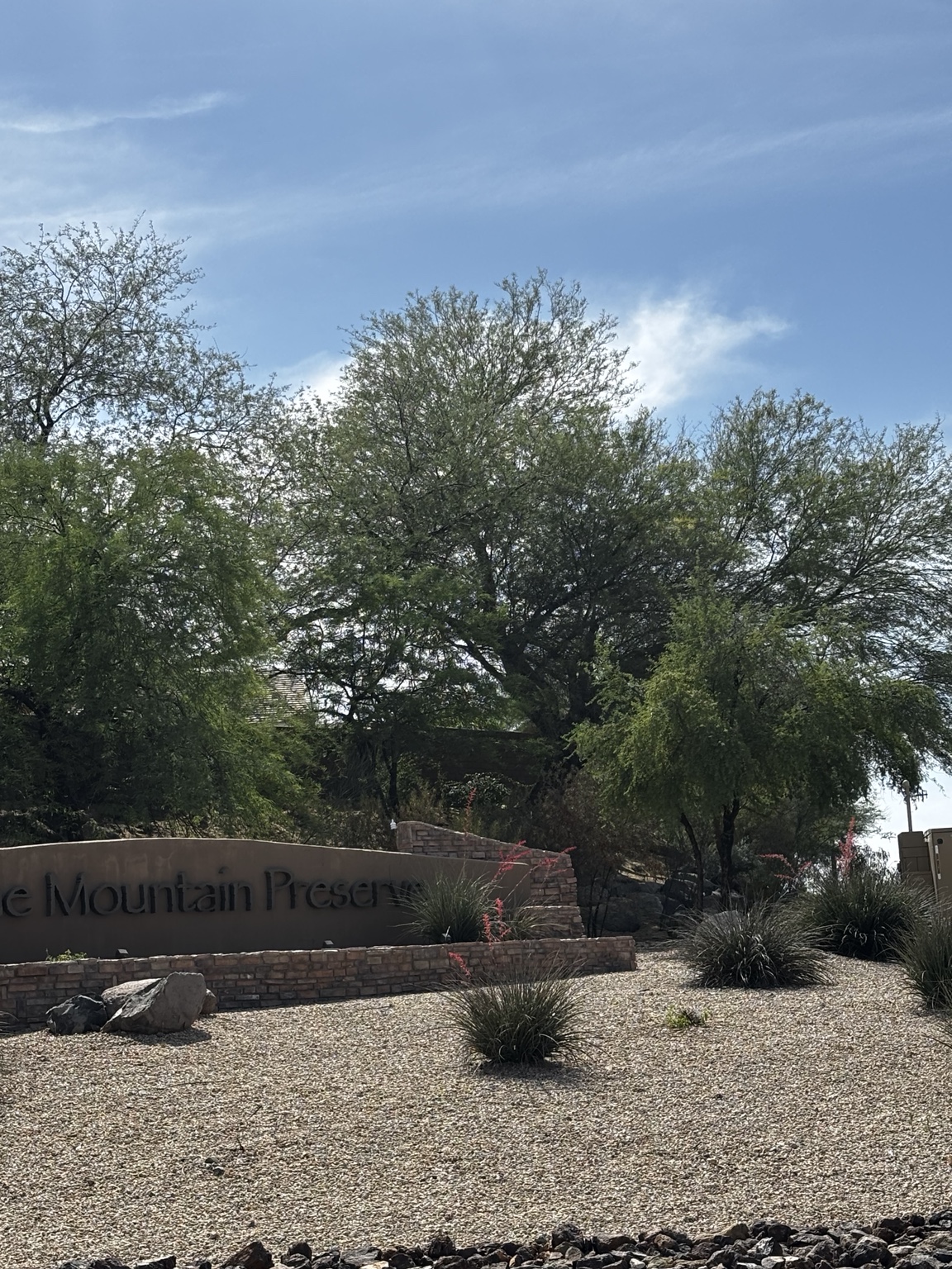 Valley-Wide Property Service — commercial landscape maintenance in the Phoenix Valley, AZ