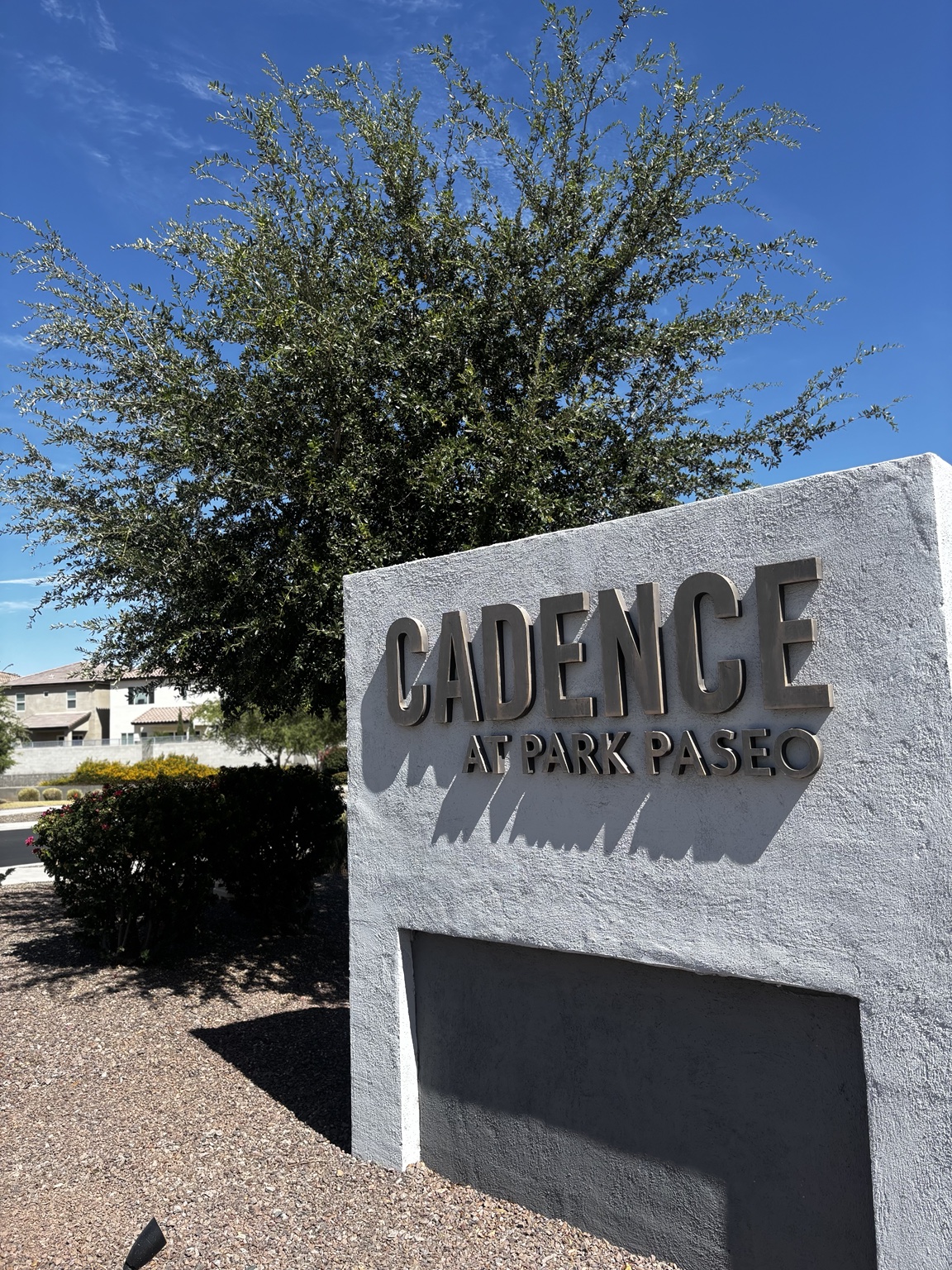 HOA / Community Entrance Grounds — commercial landscape maintenance in the Phoenix Valley, AZ