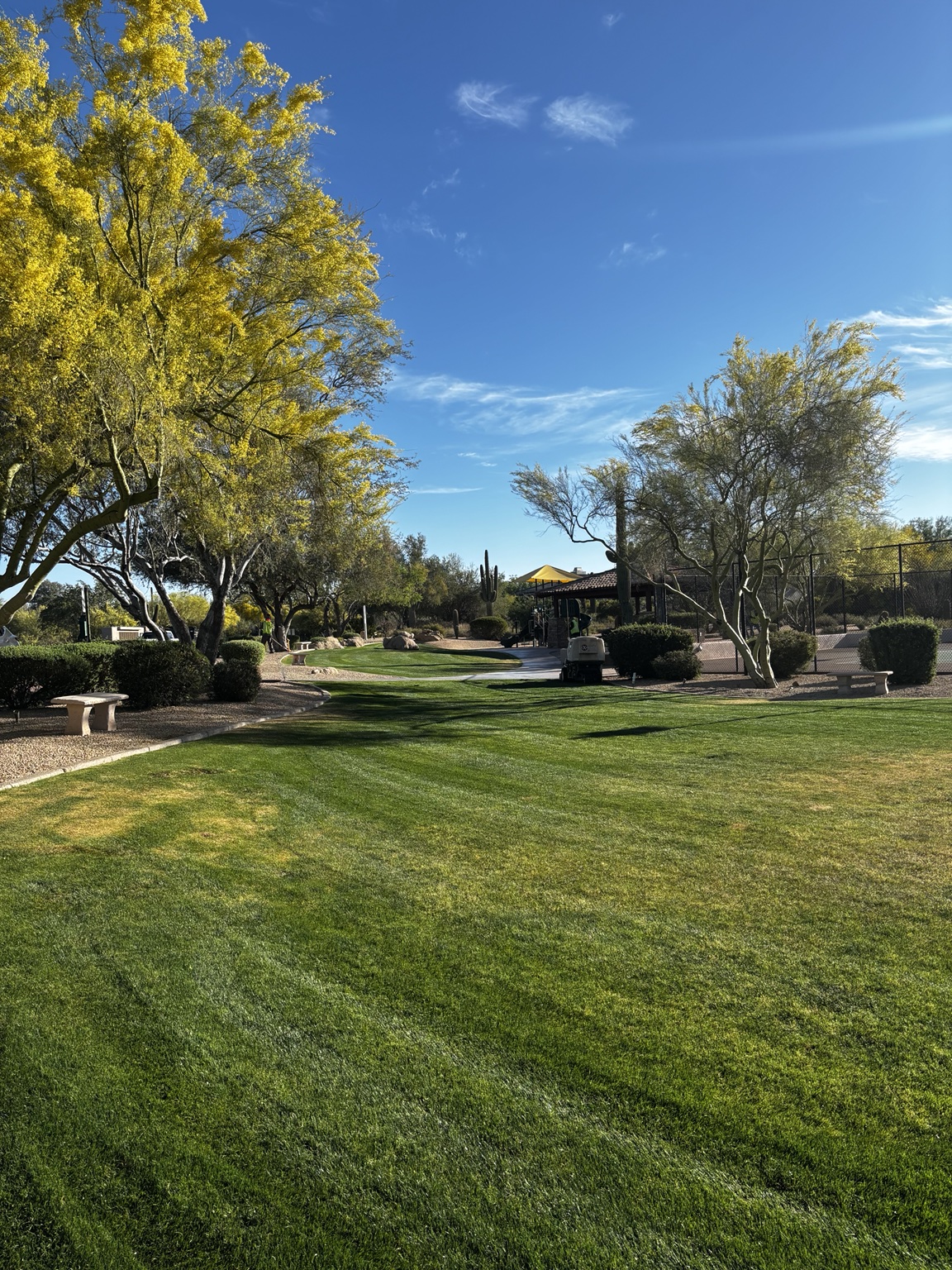Community Park & Common Area Upkeep — commercial landscape maintenance in the Phoenix Valley, AZ